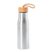 Edelstahl-Trinkflasche Bissip