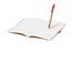 Notizbuch Ginkgo
