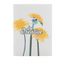 Saatpapier-Notizbuch CreaNote Plus A6 Seed