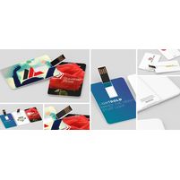 USB-Stick Karte Color Card
