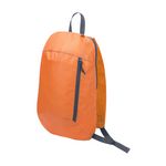 Rucksack Pegasus