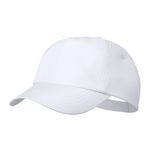 Baseball-Cap Keinfax