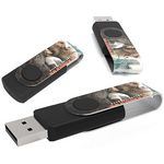 USB-Stick Max Print Twister