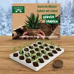 wachsender Adventskalender ECO XL