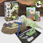 Fossil Excavation Kit II. Kinderlernspiel