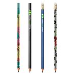 Bleistift Recycling-Evolution mit Radierer Bleistift Recycling-Evolution mit Radierer